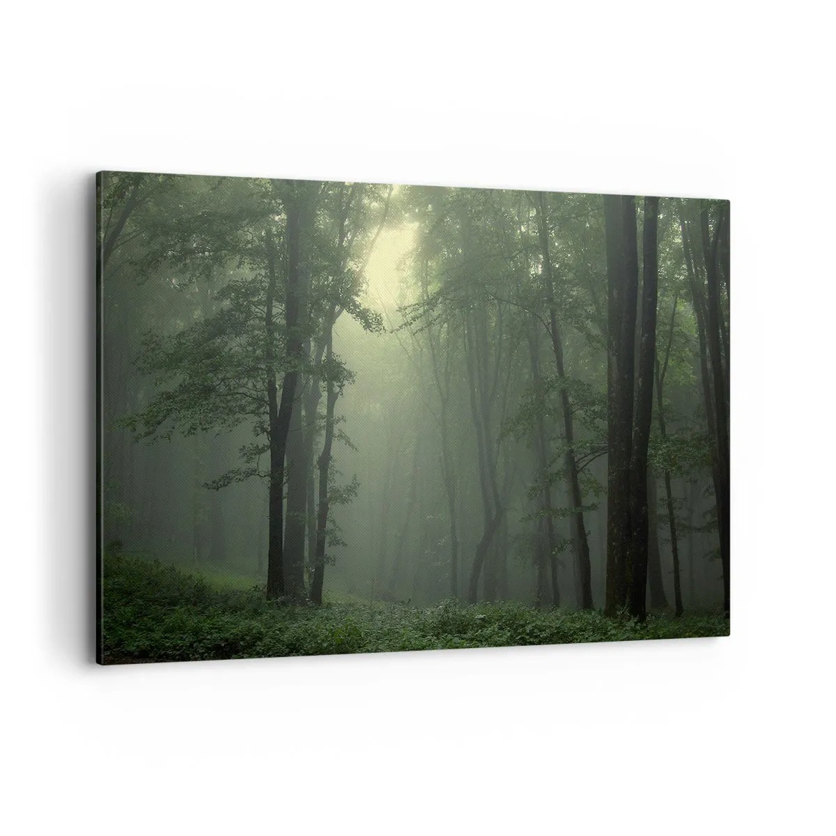 Obraz na płótnie - Zielony las o poranku otulony delikatną mgłą - 120x80cm - Zanim się obudzi - Nowoczesna dekoracja ścienna do salonu, kuchni i sypialni ARTTOR