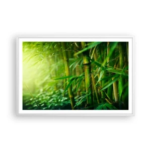 Plakat w białej ramie - Poznać zieleń samą w sobie - 91x61 cm