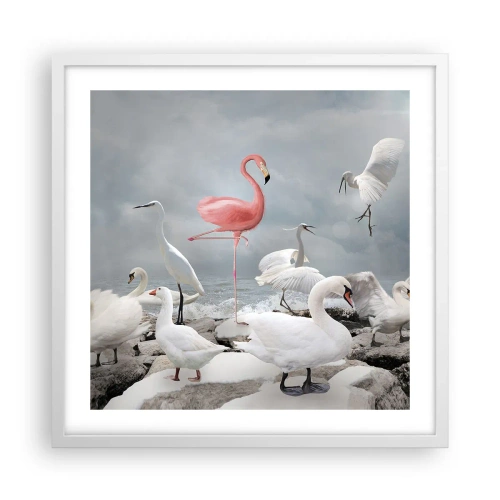 Plakat w białej ramie - Skąd się tu wziąłem? - 50x50 cm
