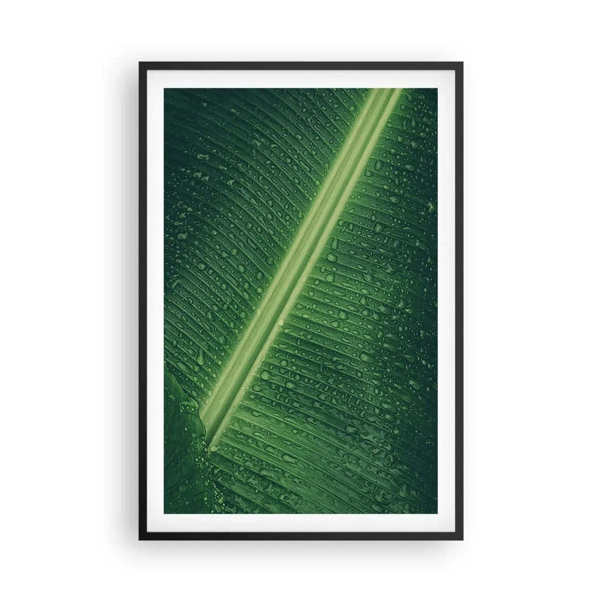 Plakat w czarnej ramie - Struktura zieleni - 61x91 cm