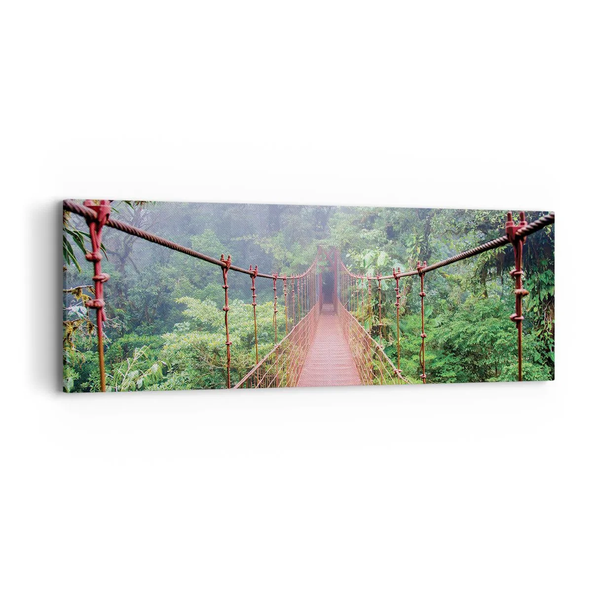 Obraz na płótnie - Zawieszony nad koronami - 90x30 cm