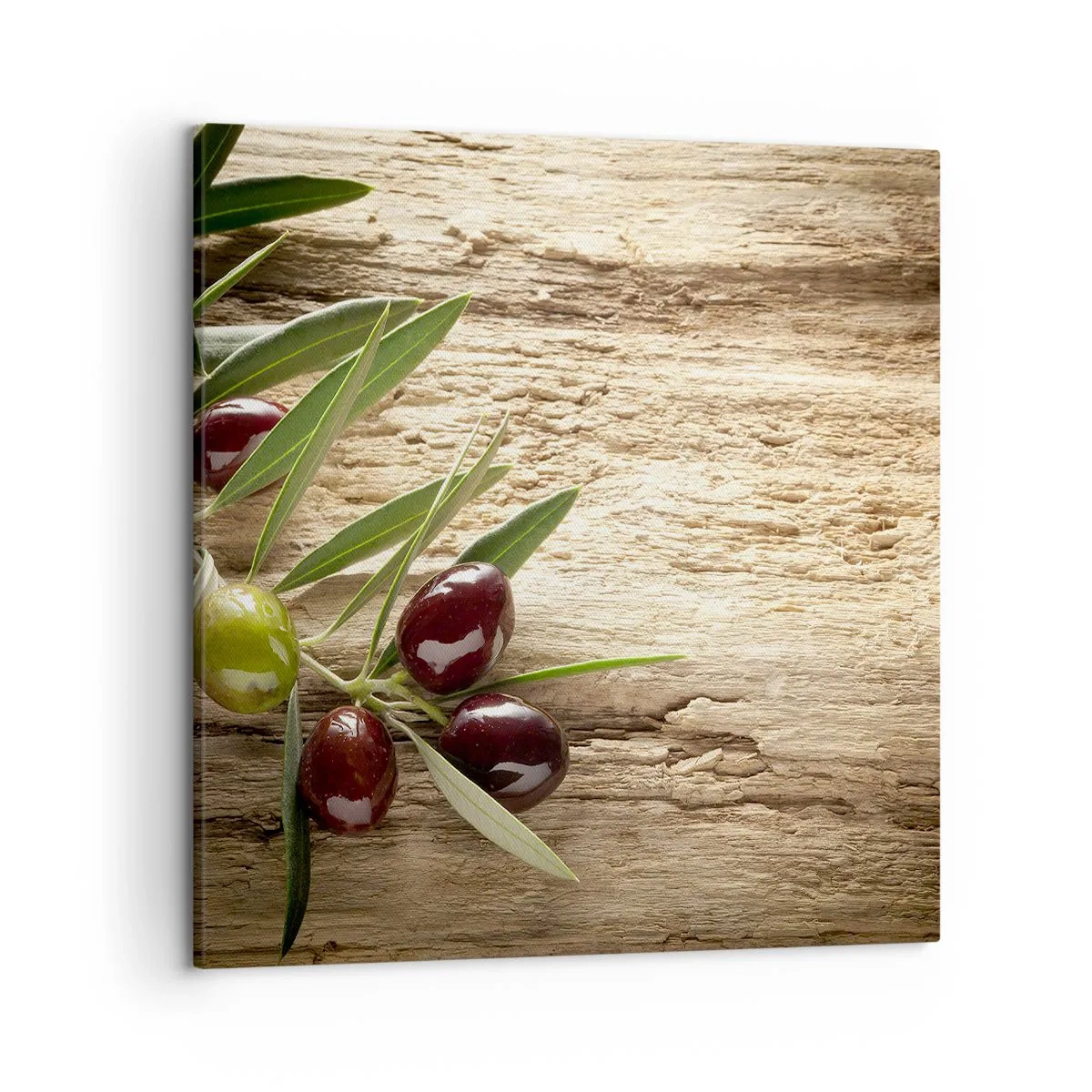 Obraz na płótnie - Prosto od natury - 50x50 cm