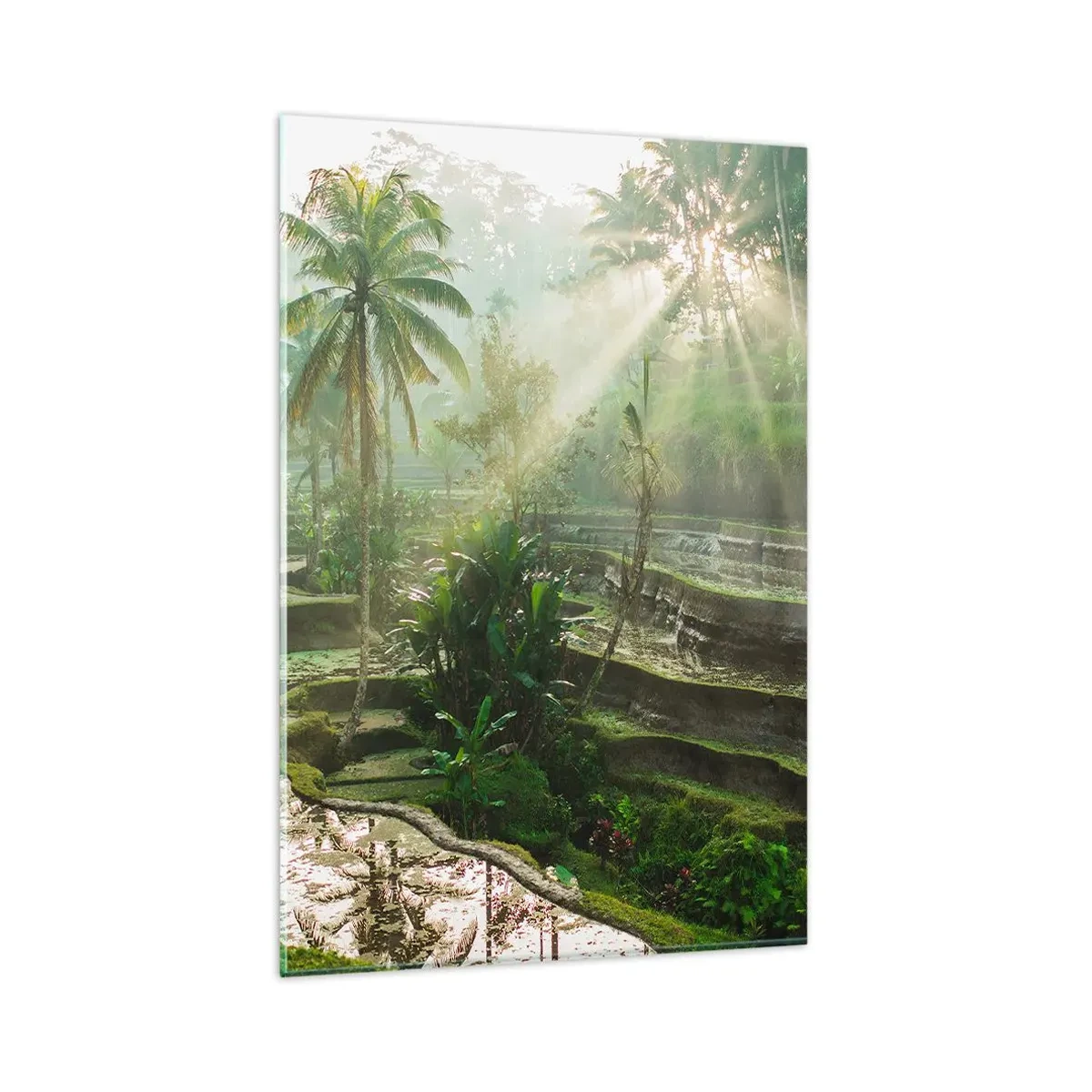 Obraz na szkle - Tarasy ryżowe z palmami w promieniach słońca - 80x120cm - Dorastać w słońcu - Nowoczesna dekoracja ścienna do salonu i sypialni ARTTOR