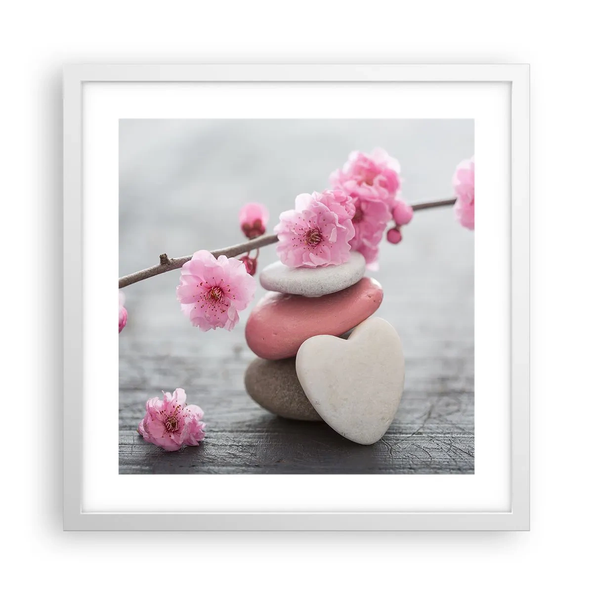Plakat w białej ramie - Błogość z kwiatem wiśni - 40x40 cm