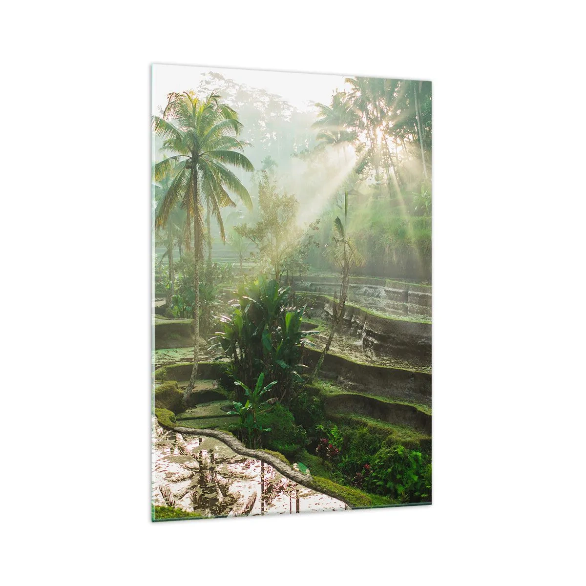 Obraz na szkle - Tarasy ryżowe z palmami w promieniach słońca - 70x100cm - Dorastać w słońcu - Nowoczesna dekoracja ścienna do salonu i sypialni ARTTOR