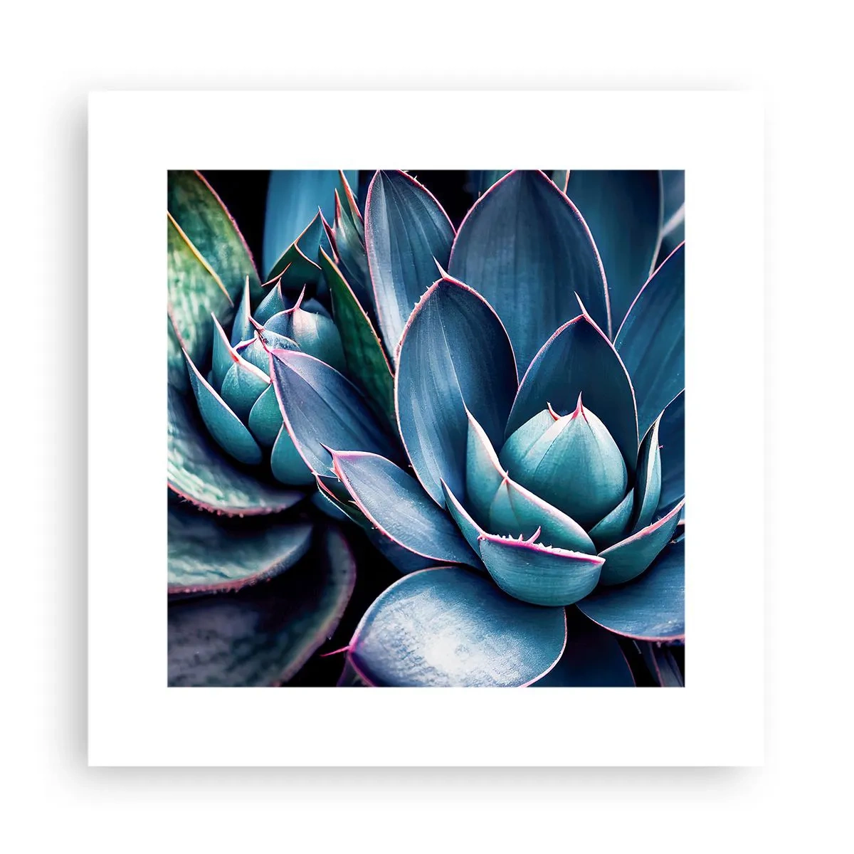 Plakat - Witalna siła - 30x30 cm