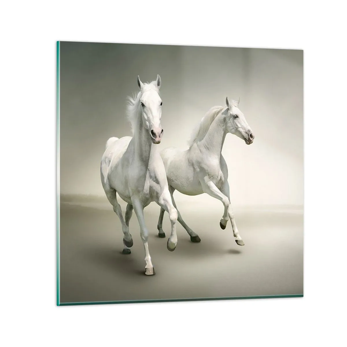 Obraz na szkle - White power! - 60x60 cm