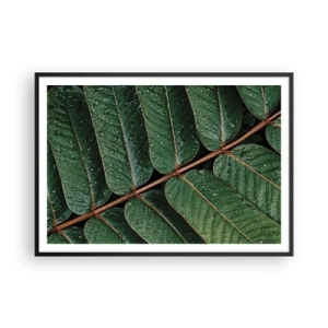 Plakat w czarnej ramie - Zielone liście z kroplami rosy w makro ujęciu - 100x70cm - W zielonym rytmie - Nowoczesna dekoracja ścienna do salonu i sypialni ARTTOR