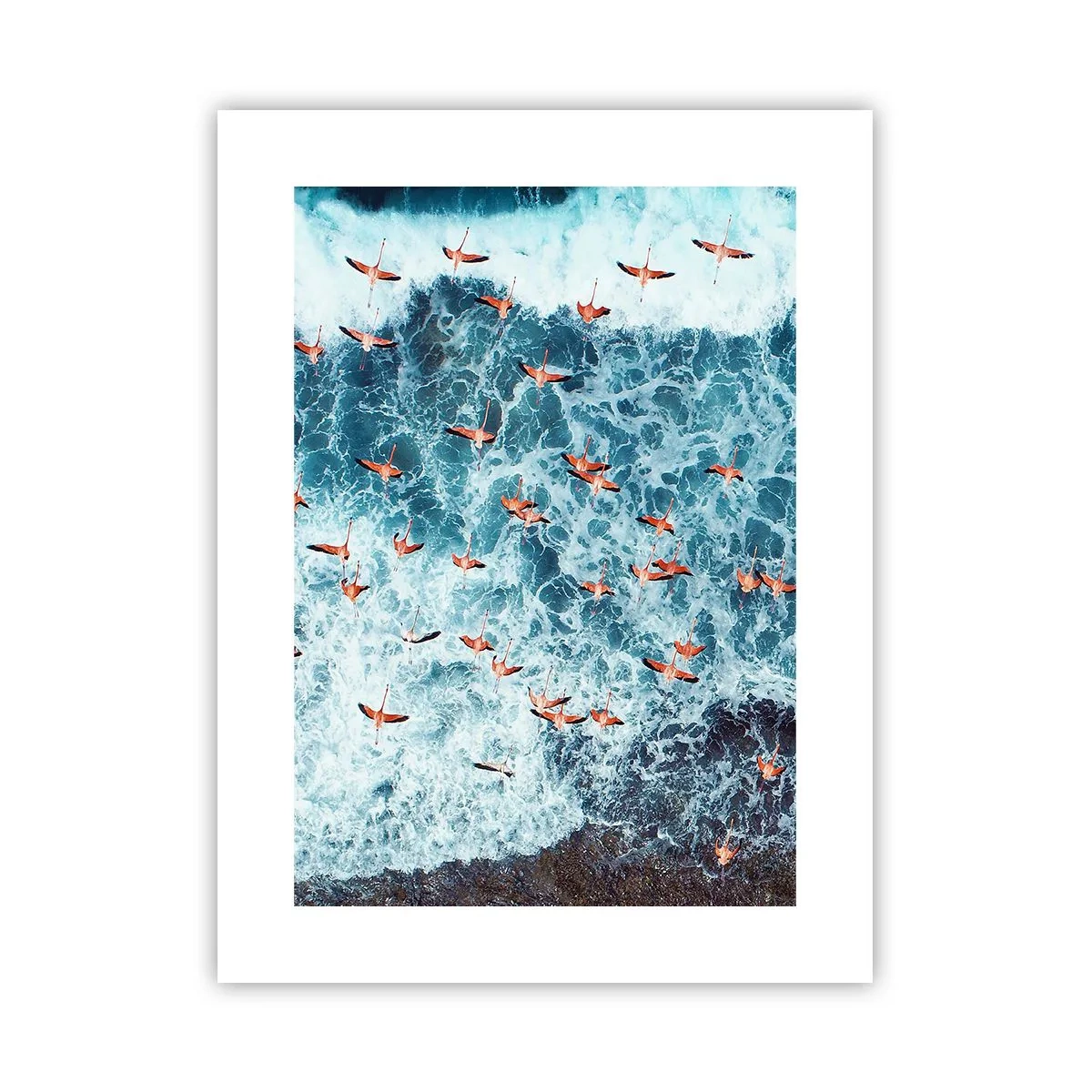Plakat - Nadmorska parada - 30x40 cm