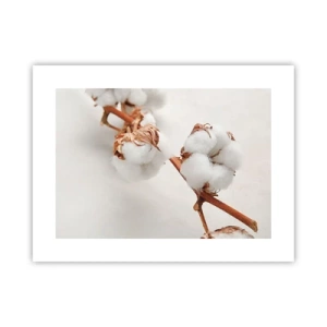 Plakat - Tylko tulić - 40x30 cm