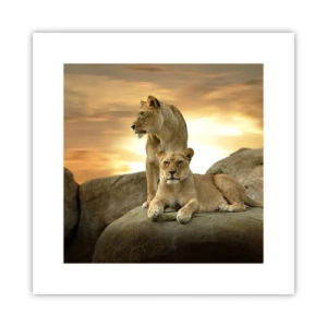 Plakat - Królewski majestat - 30x30 cm