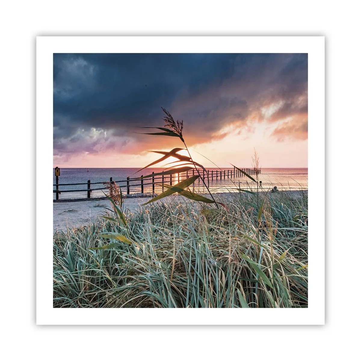 Plakat - Nie przemija z wiatrem - 60x60 cm