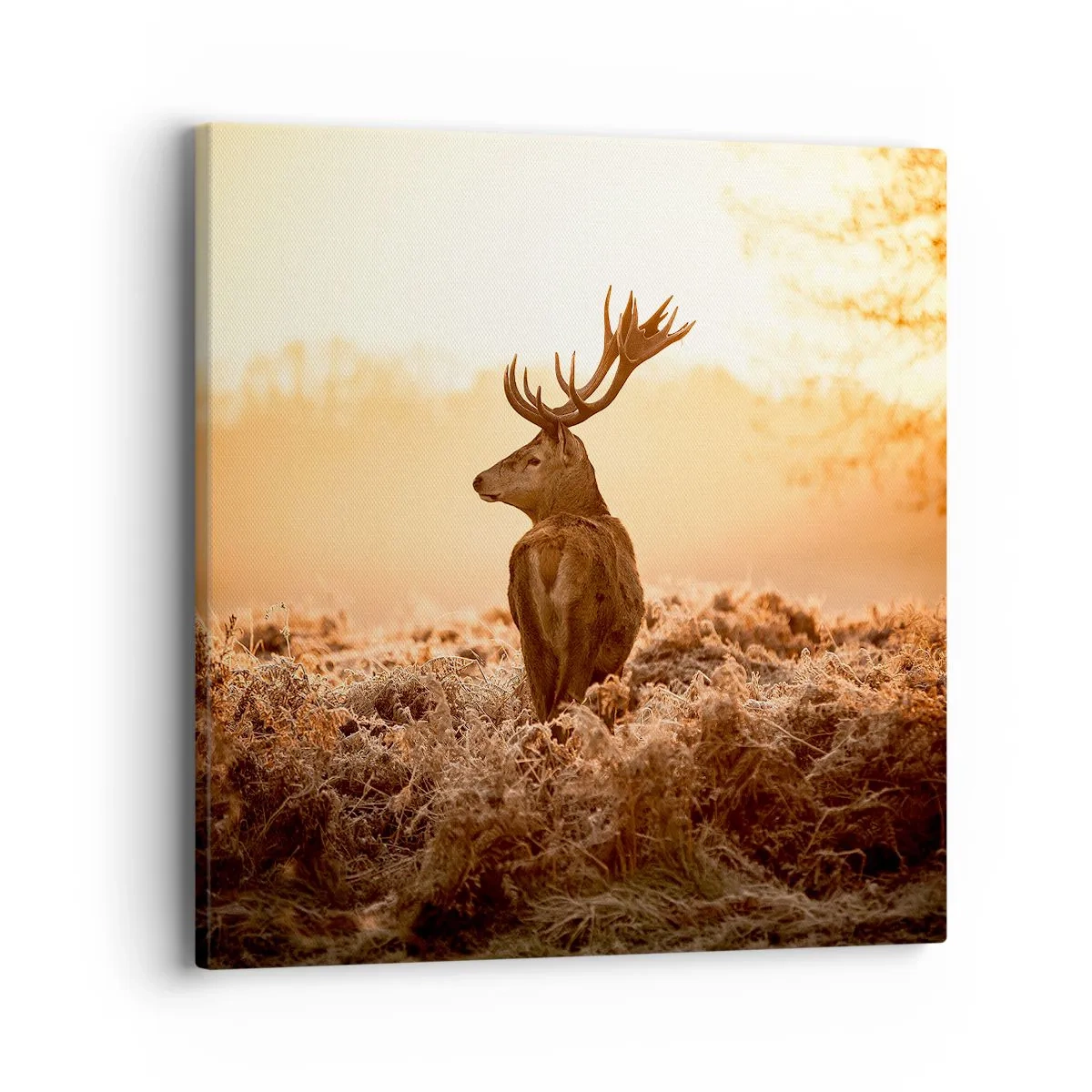 Obraz na płótnie - Pan na włościach - 40x40 cm