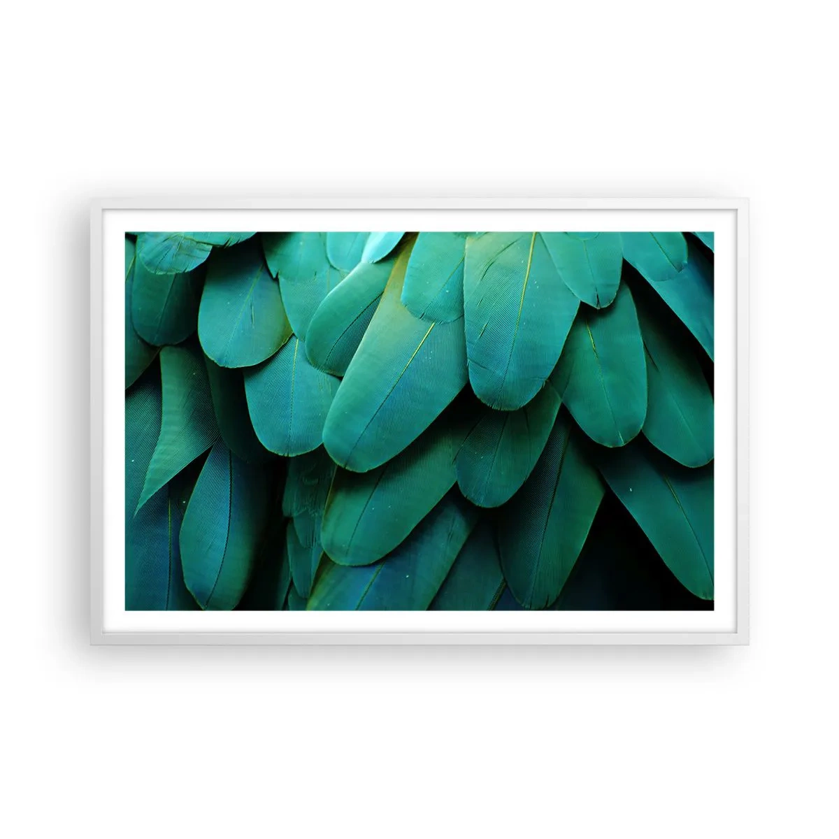 Plakat w białej ramie - Precyzja papuziej natury - 91x61 cm