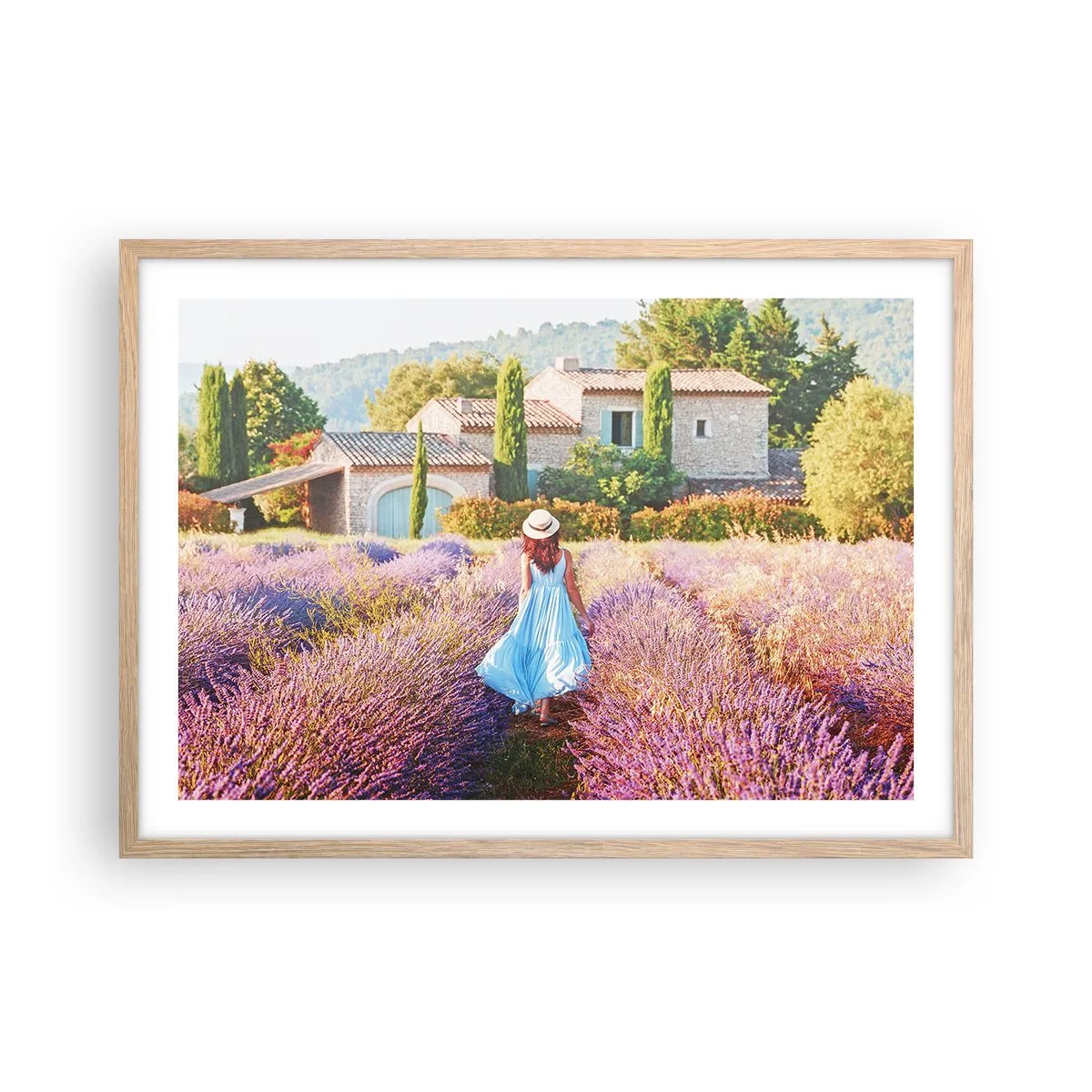 Plakat w ramie jasny dąb - Lawendowa dziewczyna - 70x50 cm