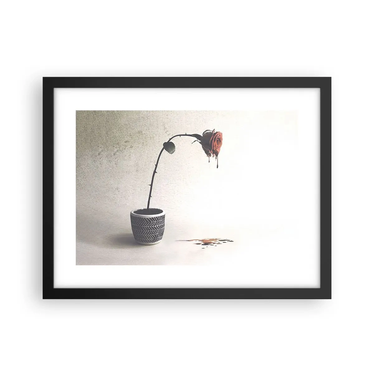 Plakat w czarnej ramie - Rosa dolorosa - 40x30 cm