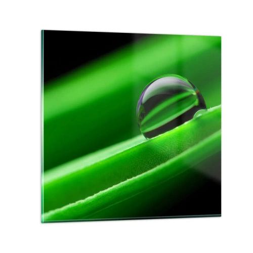 Obraz na szkle - Życie z bliska - 30x30 cm