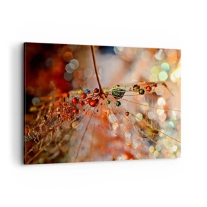 Obraz na płótnie - Makrofotografia kropli wody na delikatnej roślinie - 100x70cm - Nanizane na pajęczą nić - Nowoczesna dekoracja ścienna do salonu, kuchni i sypialni ARTTOR