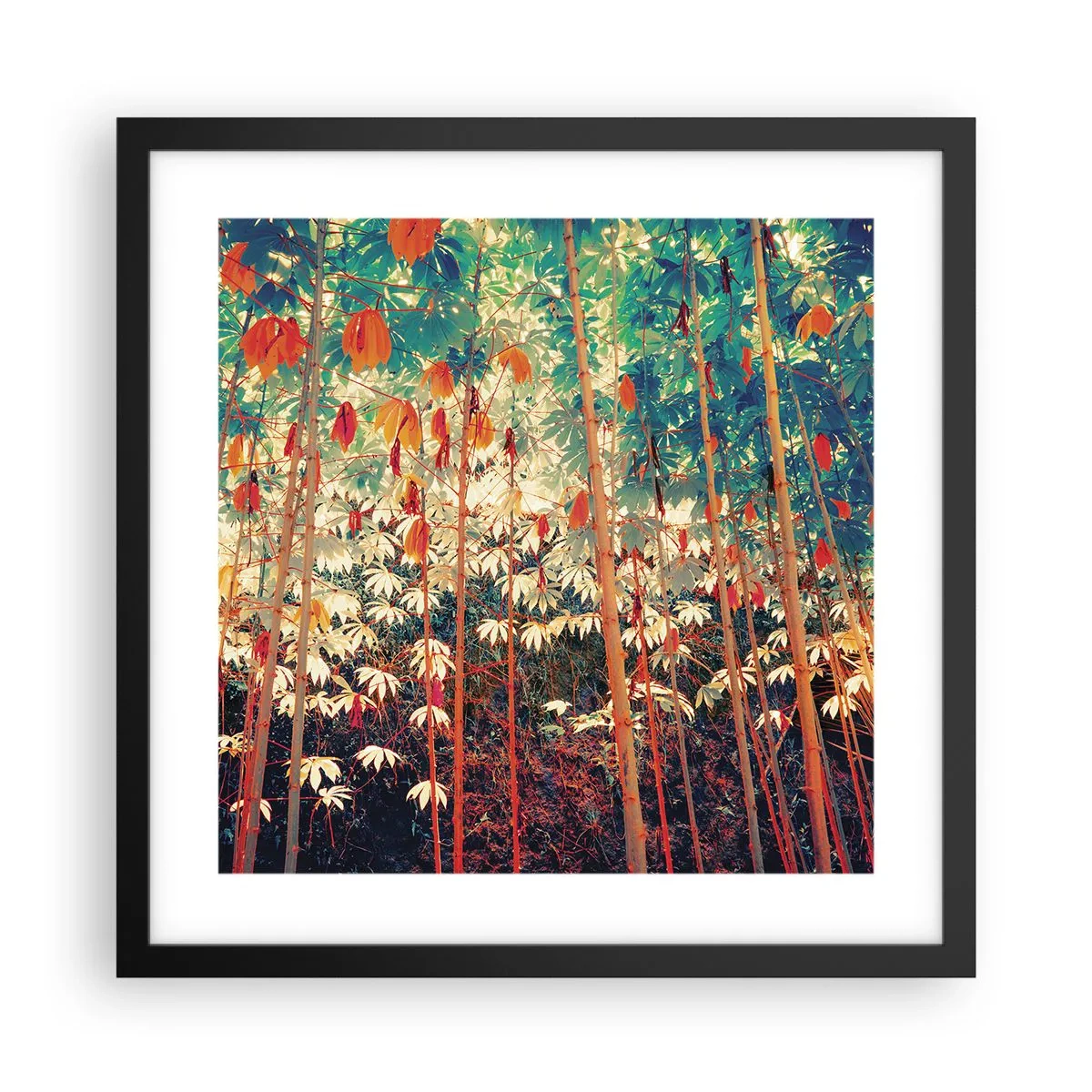 Plakat w czarnej ramie - Tajemne życie liści - 40x40 cm