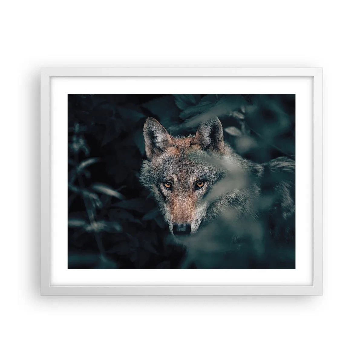 Plakat w białej ramie - Łowca - 50x40 cm