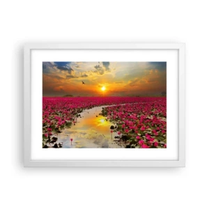 Plakat w białej ramie - Tajemne życie jeziora - 40x30 cm