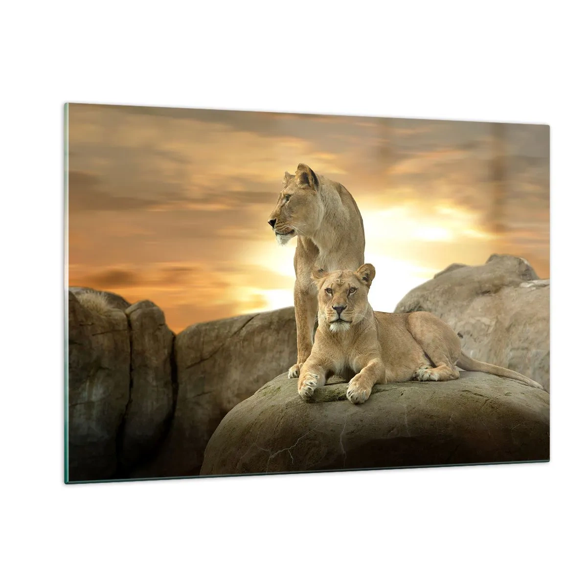 Obraz na szkle - Królewski majestat - 120x80cm - Królewski majestat - Nowoczesna dekoracja ścienna do salonu, kuchni i sypialni ARTTOR
