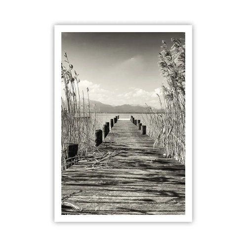 Plakat - W zaciszu traw - 70x100 cm