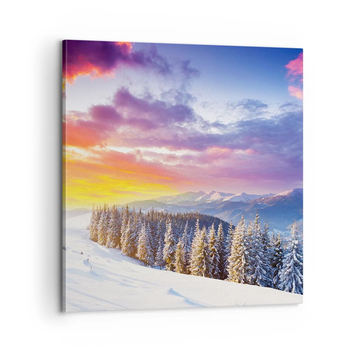 Obraz na płótnie - W biały dzień - 60x60 cm