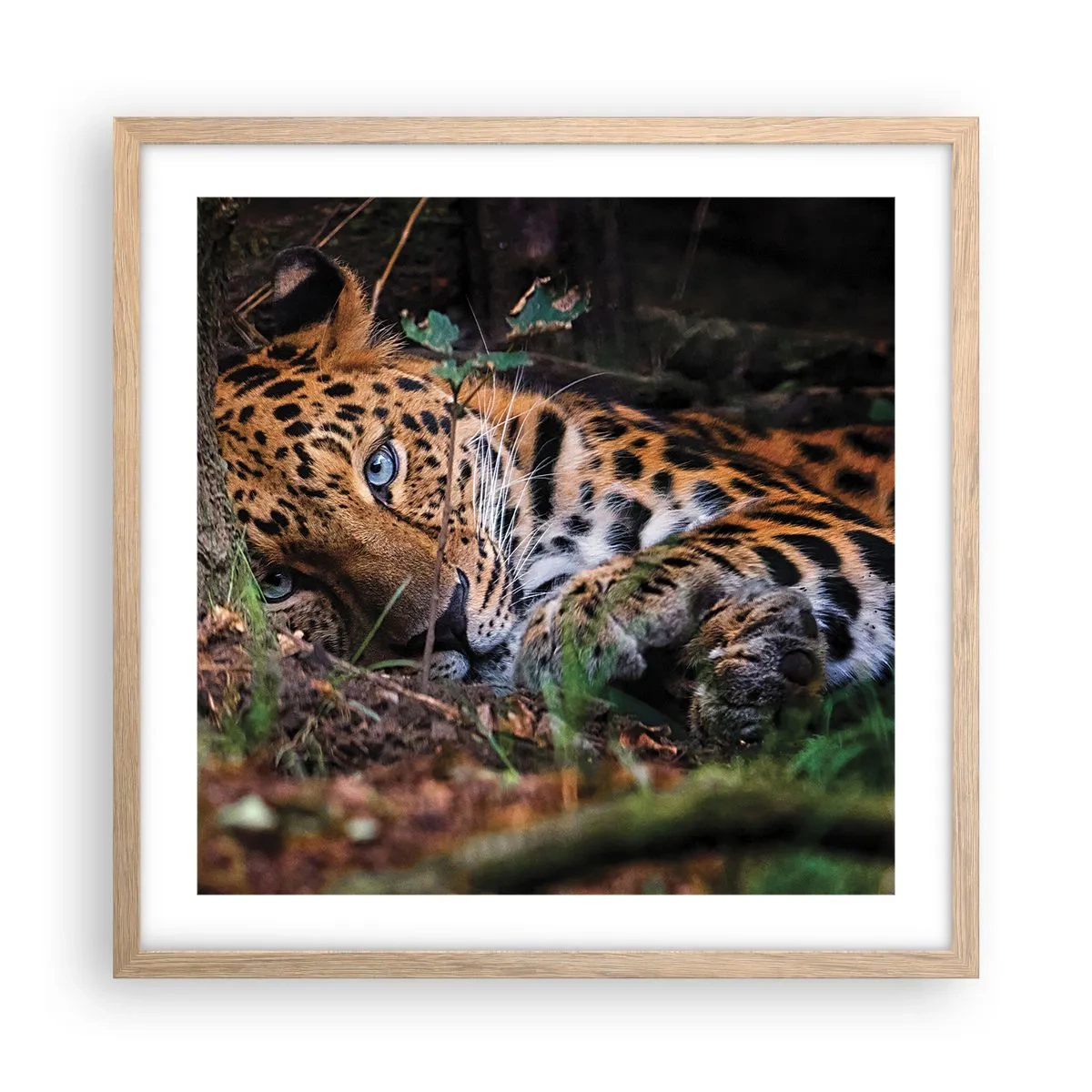 Plakat w ramie jasny dąb - Zaufaj mi - 50x50 cm