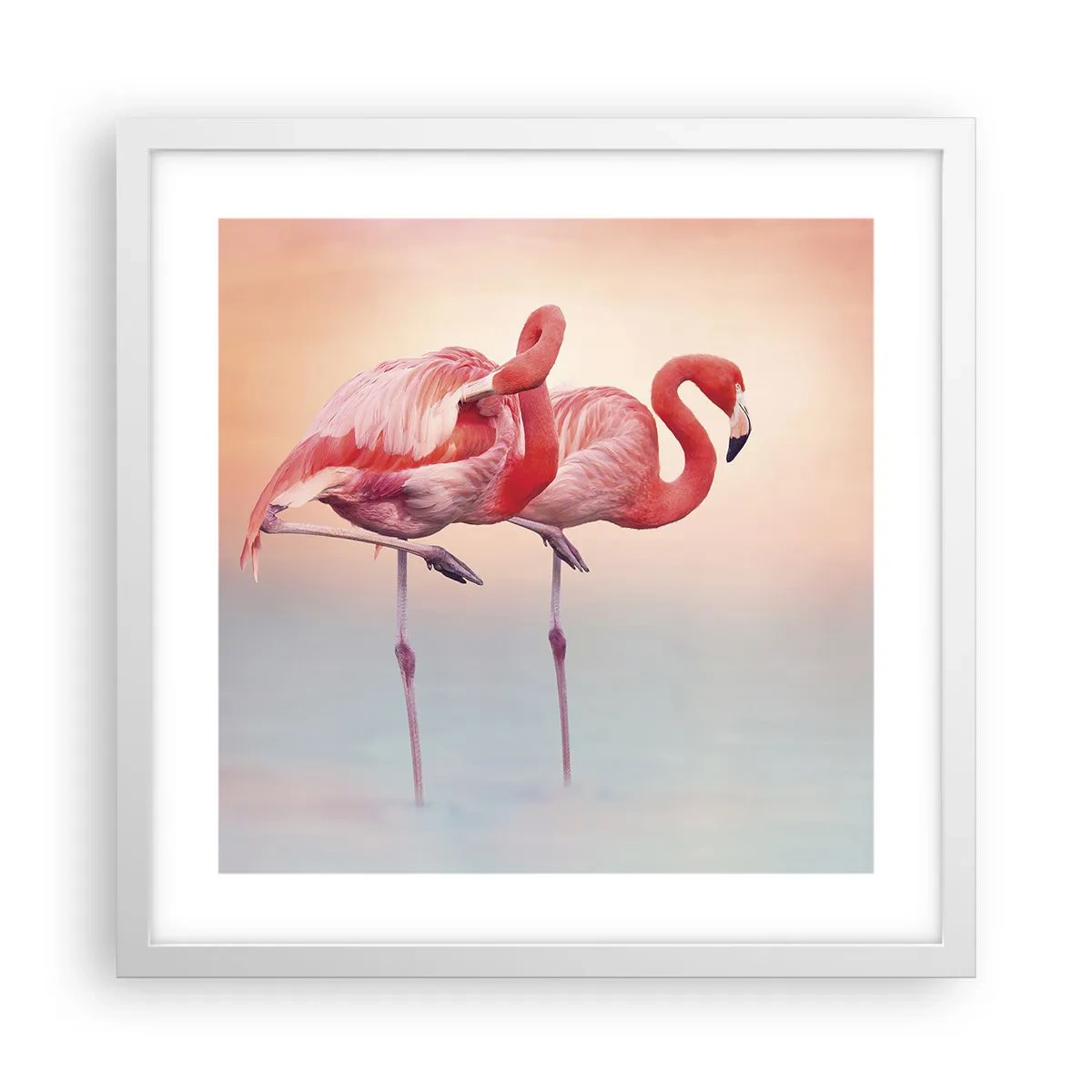 Plakat w białej ramie - W kolorze zachodzącego słońca - 40x40 cm