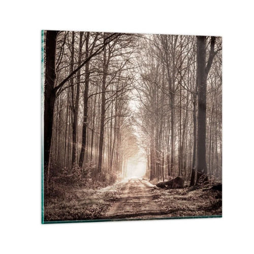 Obraz na szkle - Leśna katedra - 50x50 cm