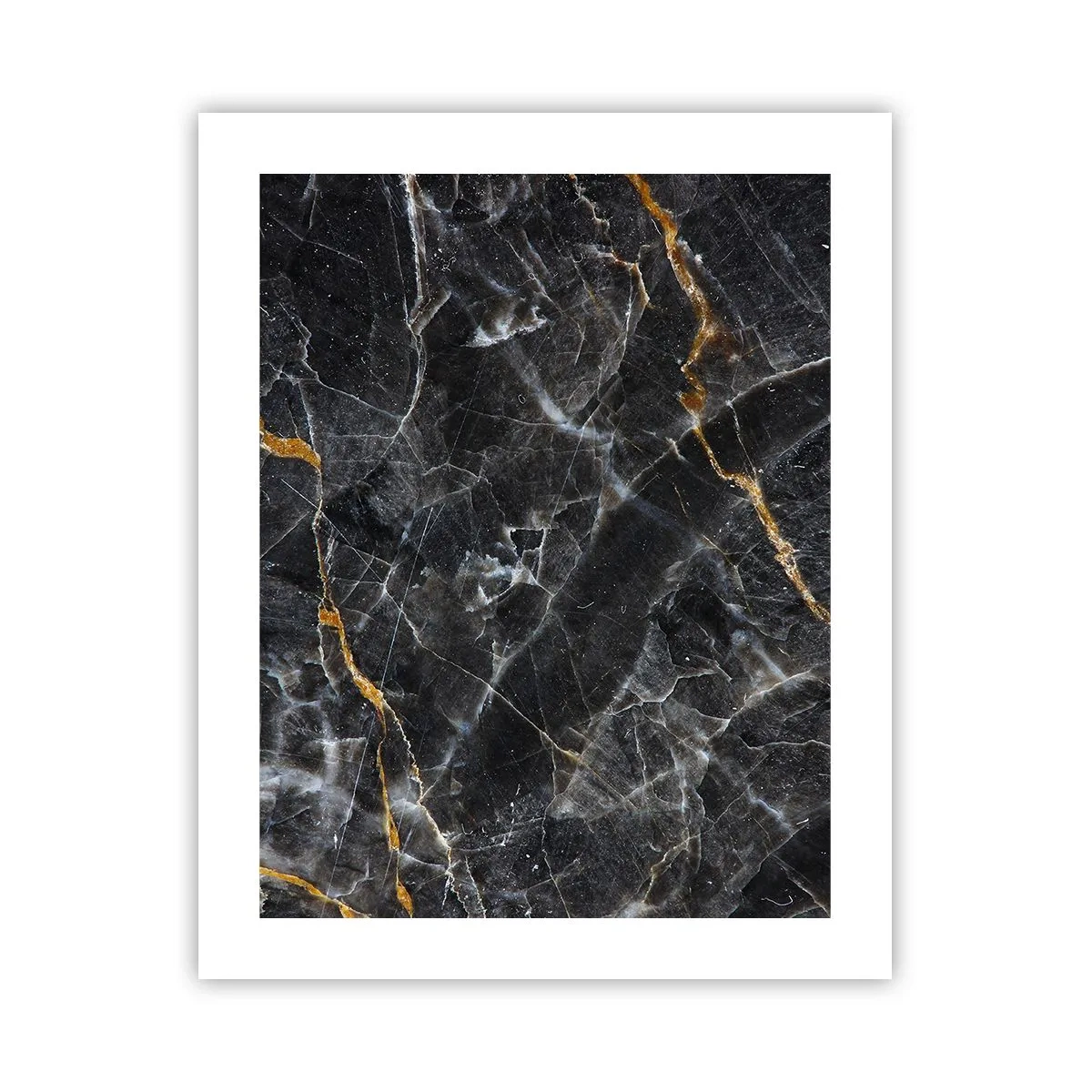 Plakat - Wewnętrzne życie kamienia - 40x50 cm
