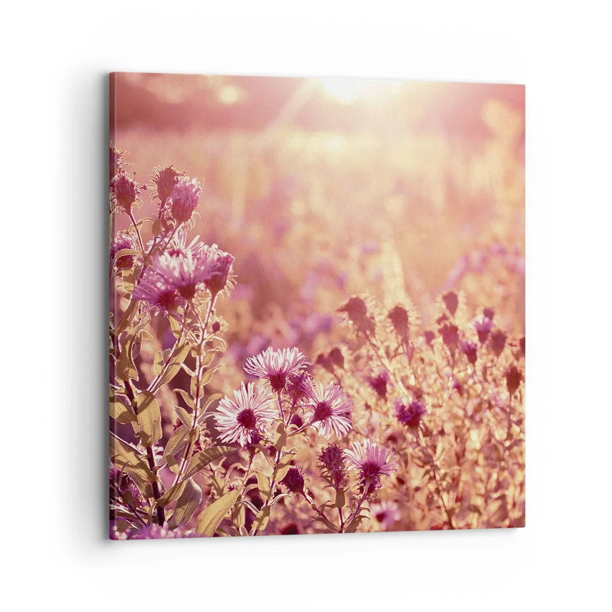 Obraz na płótnie - Przed odejściem lata - 70x70 cm