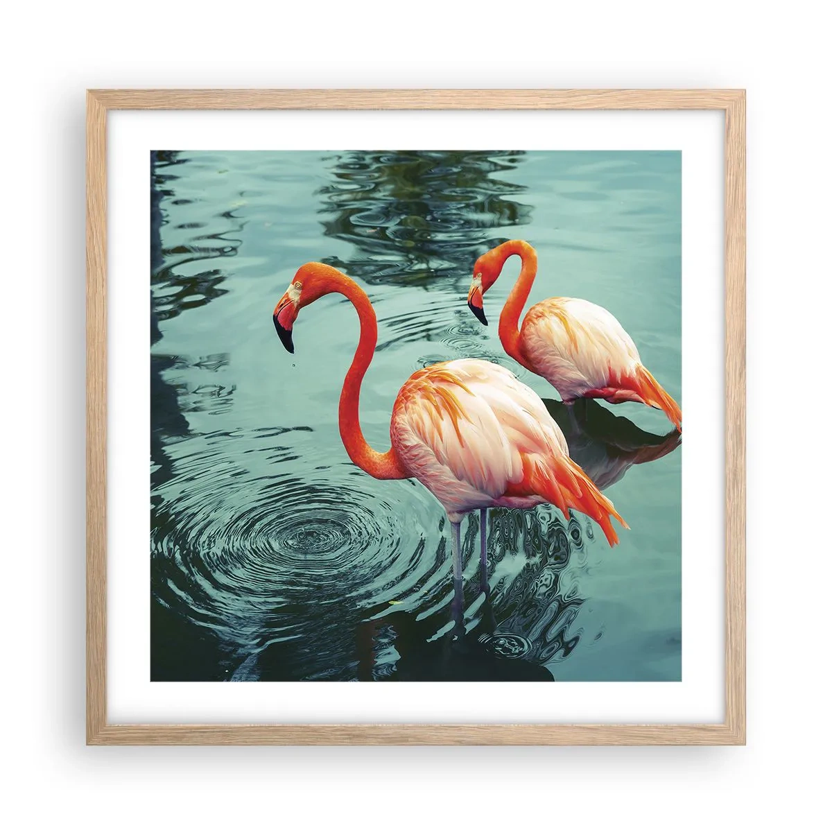 Plakat w ramie jasny dąb - Jesteśmy teraz w modzie - 50x50 cm