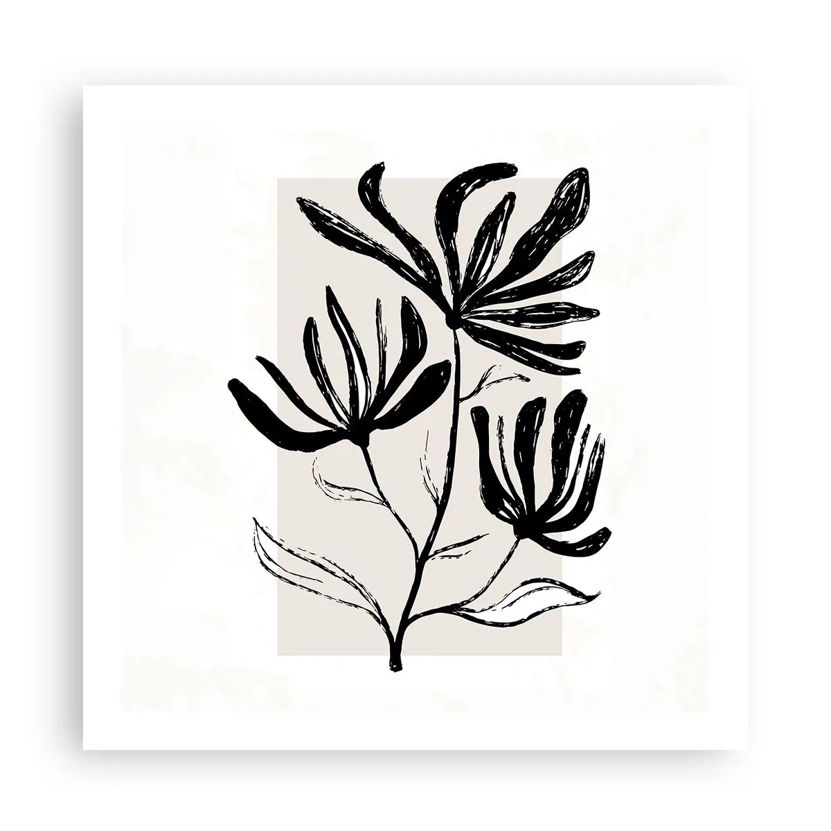 Plakat - Szkic do zielnika - 60x60 cm