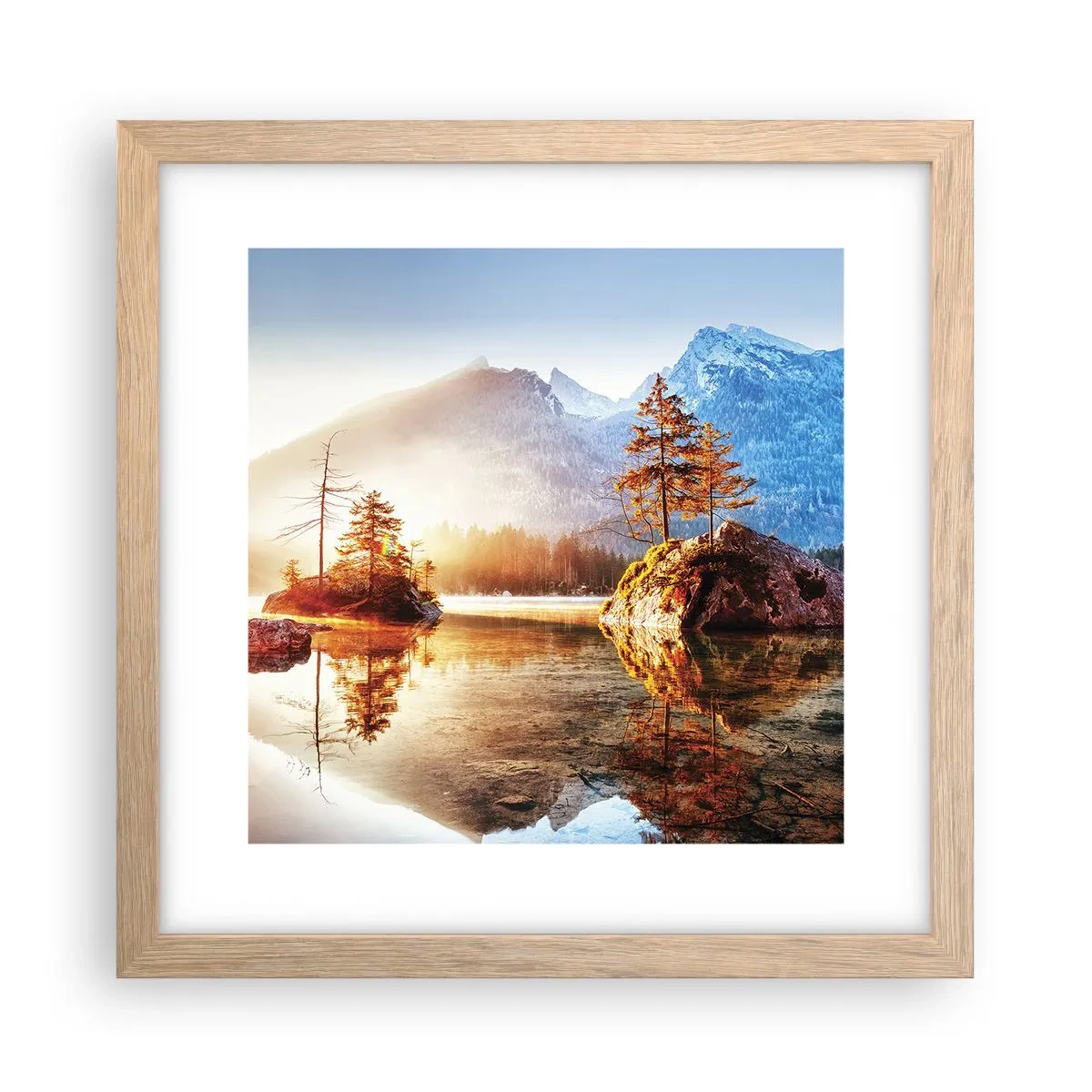 Plakat w ramie jasny dąb - Natura w nowym świetle - 30x30 cm