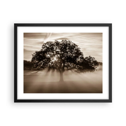 Plakat w czarnej ramie - Drzewo wiadomości samego dobrego - 50x40 cm