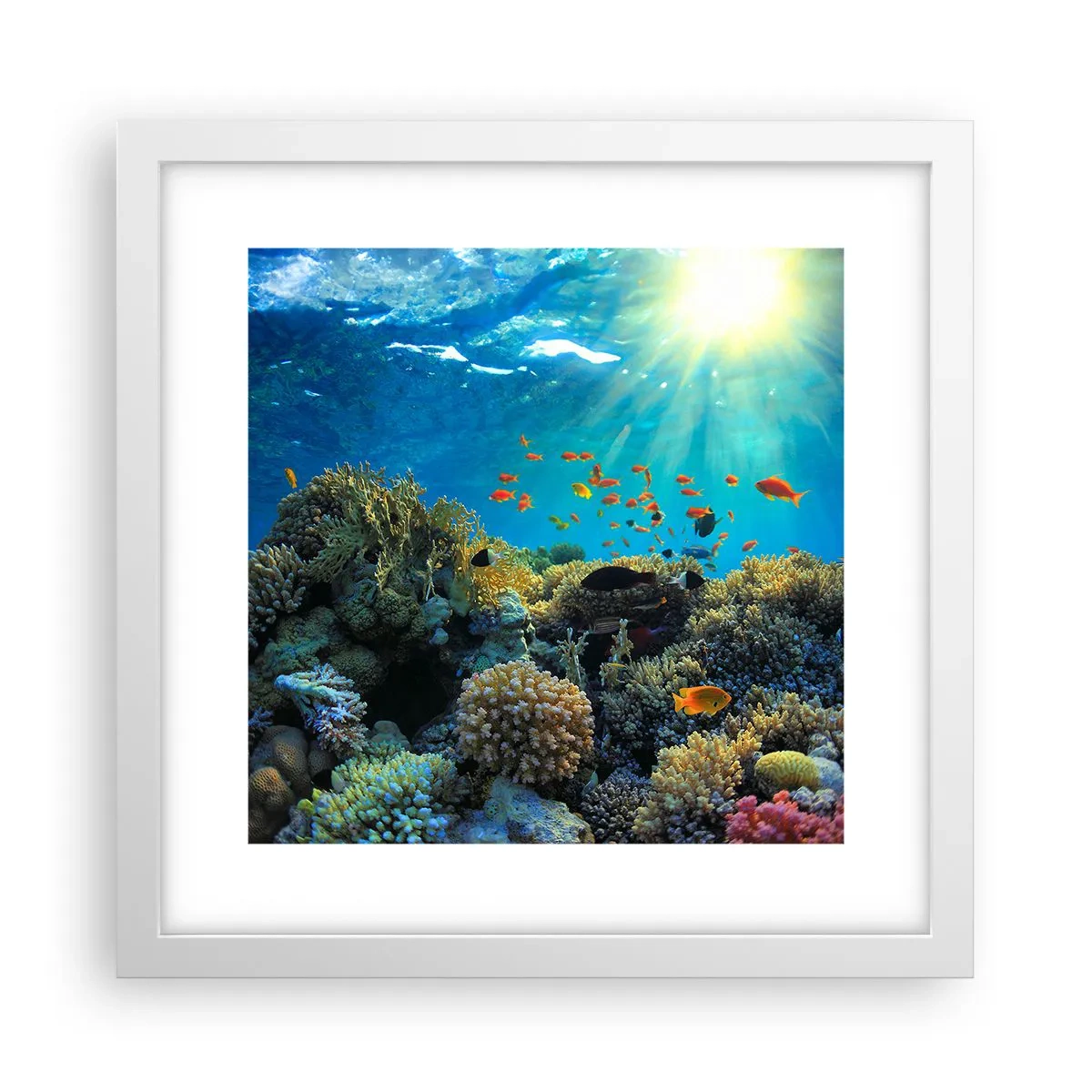 Plakat w białej ramie - Podwodne skarby - 30x30 cm