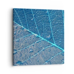 Obraz na płótnie - Życie w błękicie - 30x30 cm