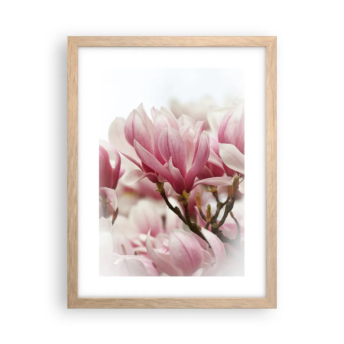Plakat w ramie jasny dąb - Kwiaty wiosny - 30x40 cm