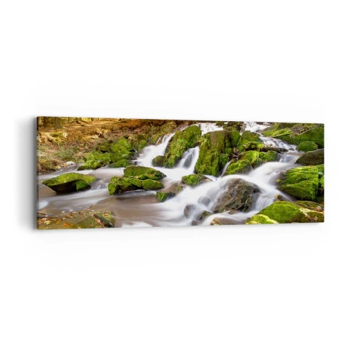 Obraz na płótnie - Bystro przez jesienny las - 90x30 cm