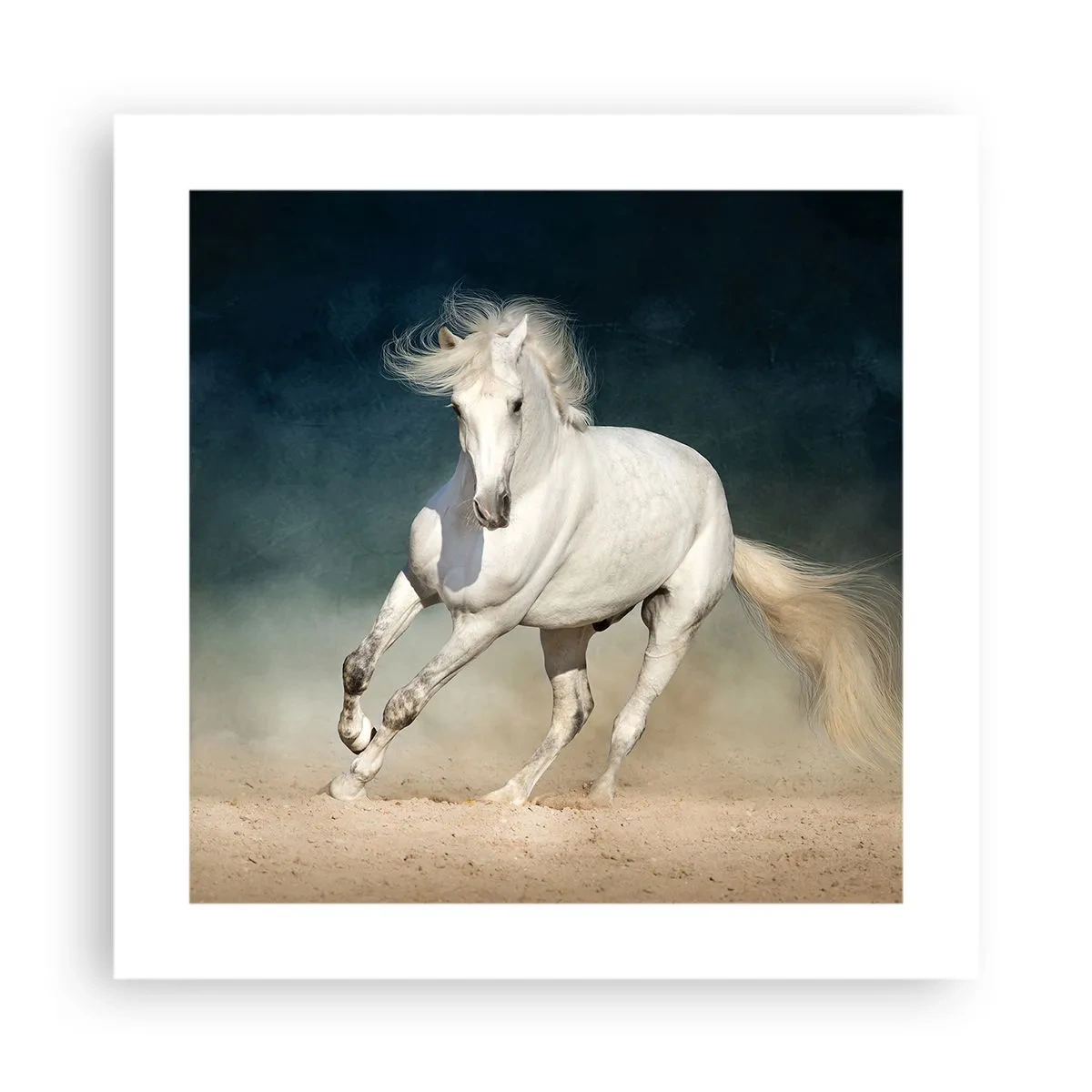 Plakat - Wolność w stanie czystym - 40x40 cm