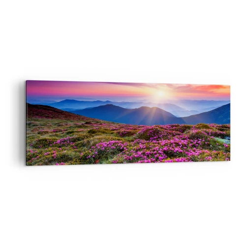 Obraz na płótnie - Górska łąka z kwiatami o zachodzie słońca - 140x50cm - Ziół zapachniały świeże pęki od niw - Nowoczesna dekoracja ścienna do salonu i sypialni ARTTOR