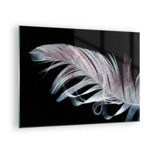 Obraz na szkle - Delikatne pióro na czarnym tle w artystycznym ujęciu - 70x50cm - Pomyśl o dotyku - Nowoczesna dekoracja ścienna do salonu i sypialni ARTTOR