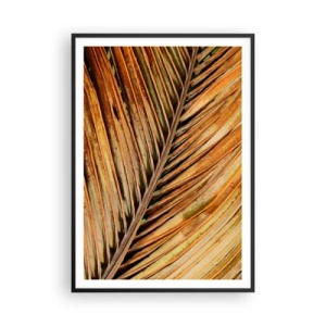 Plakat w czarnej ramie - Kokosowe złoto - 70x100 cm