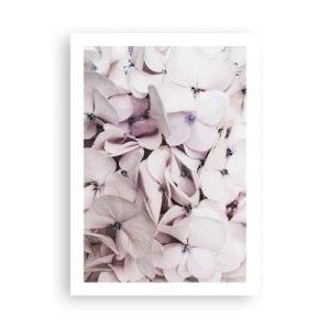 Plakat - Delikatne pastelowe hortensje w zbliżeniu - 50x70cm - W powodzi kwiatów - Nowoczesna dekoracja ścienna do salonu, kuchni i sypialni ARTTOR