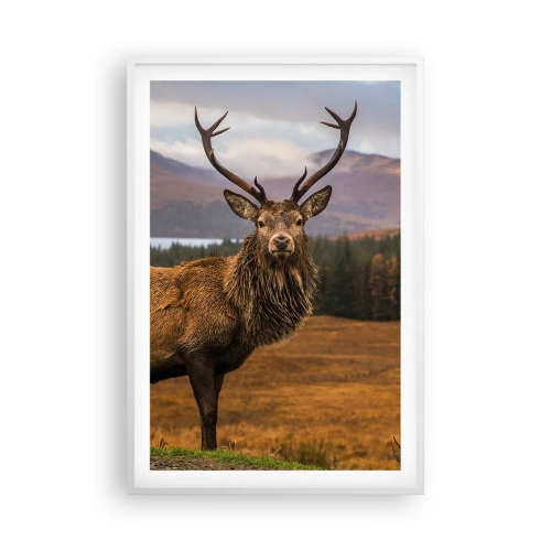 Plakat w białej ramie - Majestat natury - 61x91 cm