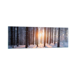 Obraz na szkle - Zimowy las oświetlony promieniami słońca - 160x50cm - Wyraźnie czarno na białym - Nowoczesna dekoracja ścienna do salonu i sypialni ARTTOR