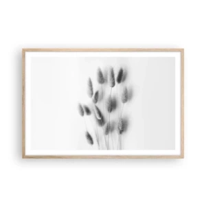 Plakat w ramie jasny dąb - Jej puszystość trawa - 91x61 cm