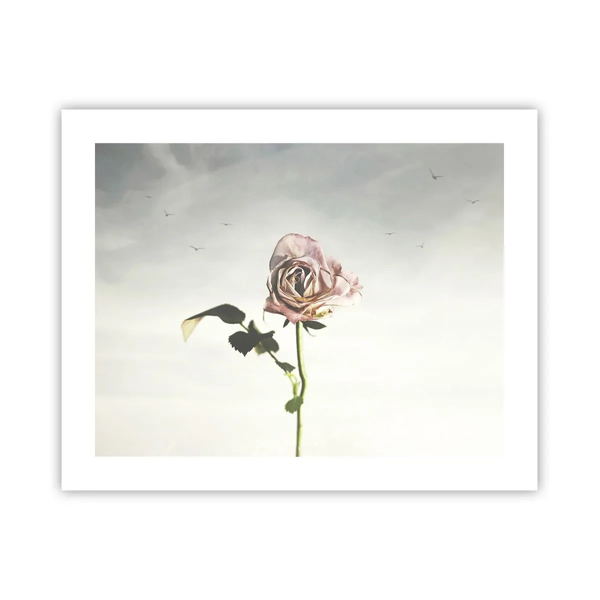 Plakat - Powitanie wiosny - 50x40 cm